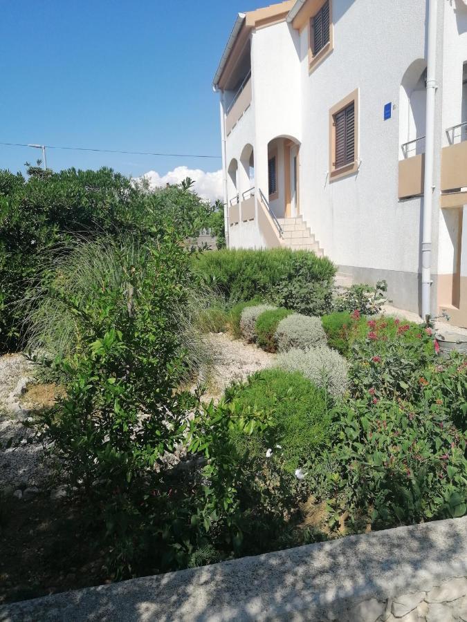 Apartment Mare Vrsi Zewnętrze zdjęcie